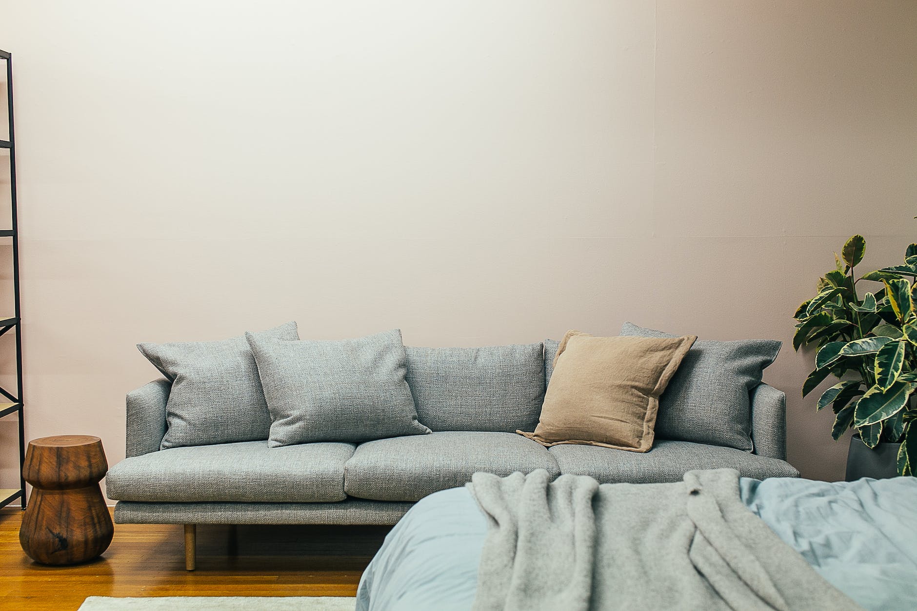 cozy sofa and bed in contemporary studio apartment