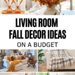 7 Best fall decor ideas to spruce up your small space, modern home or first apartment during the fall season, Halloween and thanksgiving.